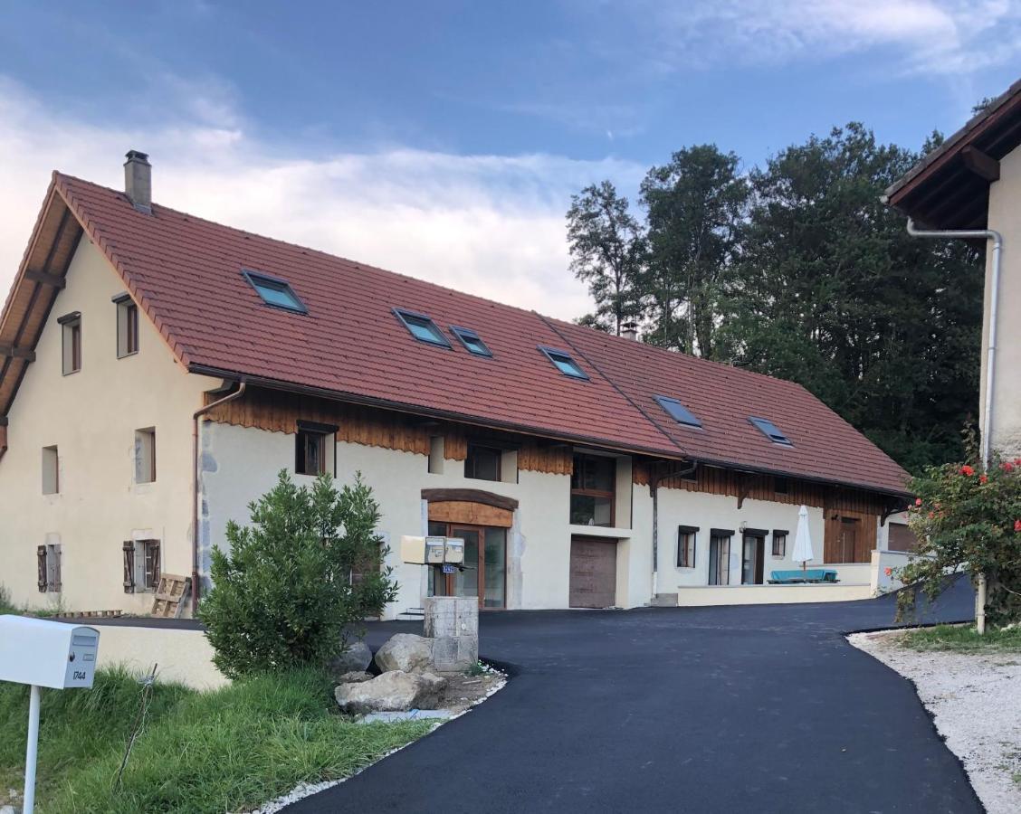 Appartamento T2 Meuble De 40M2 Axe Annecy/Geneve Saint-Martin-Bellevue Esterno foto